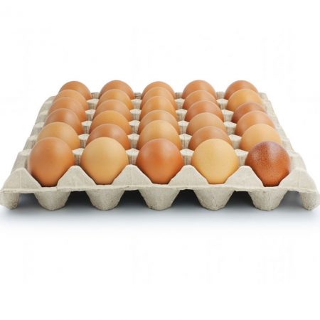 تخم مرغ بومی