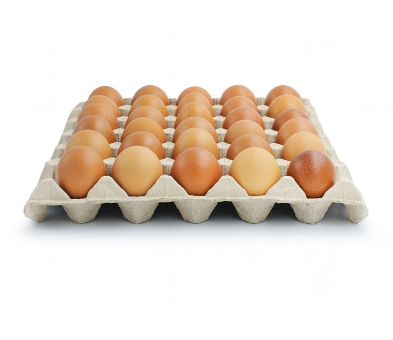 تخم مرغ بومی