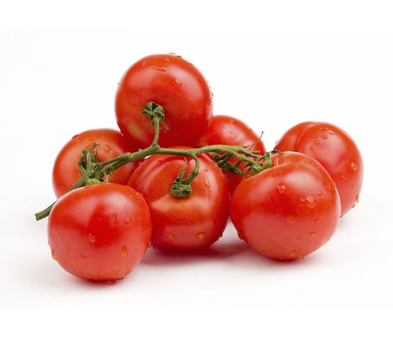 گوجه فرنگی